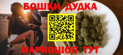прущие грибы Бердск