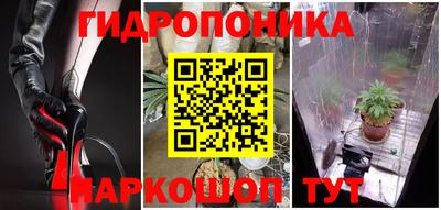 прущие грибы Бердск