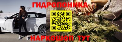 прущие грибы Бердск