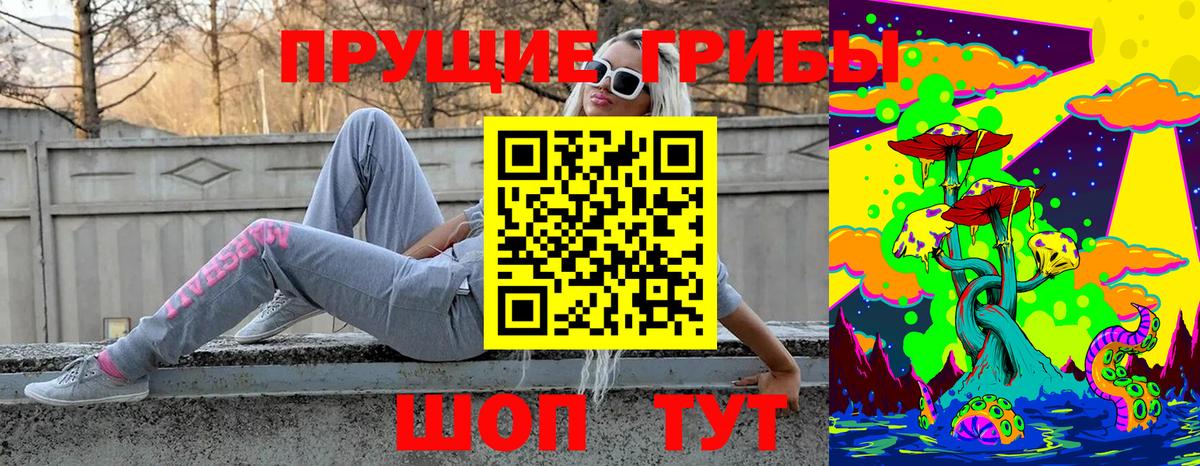 Псилоцибиновые грибы GOLDEN TEACHER  Вход с VPN  Псилоцибиновые грибы прущие грибы  Тамбов 