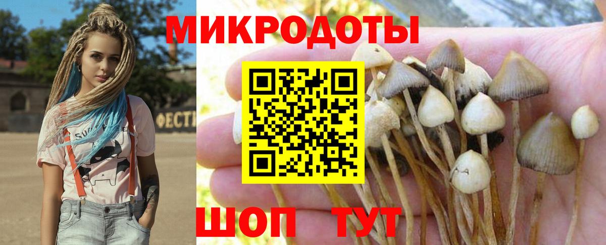 Псилоцибиновые грибы Magic Shrooms Тамбов